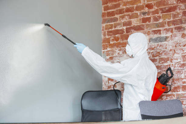 Best Indoor Air Quality Assessment  in Sulphur Springs, AR