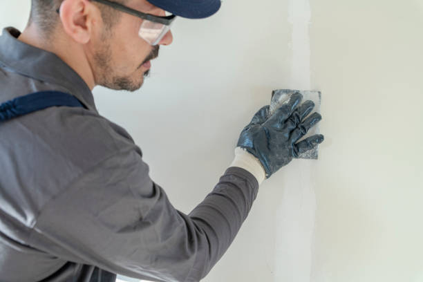 Best Mold Prevention Services  in Sulphur Springs, AR