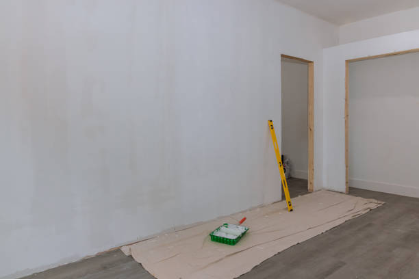 Best Mold Damage Restoration  in Sulphur Springs, AR