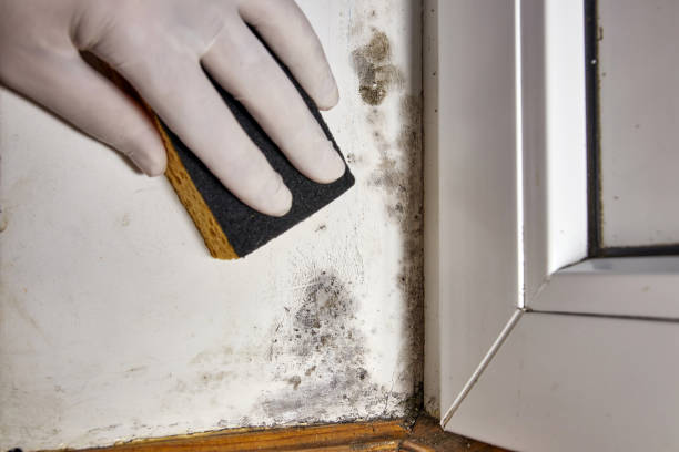 Best Post-Remediation Verification Testing  in Sulphur Springs, AR